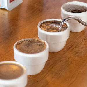 Cupping - Barista i Espresso