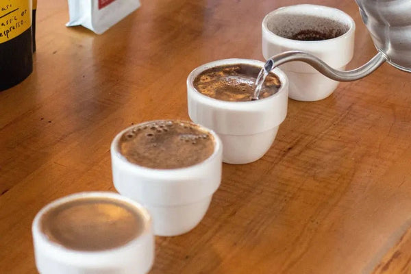Cupping - Barista i Espresso