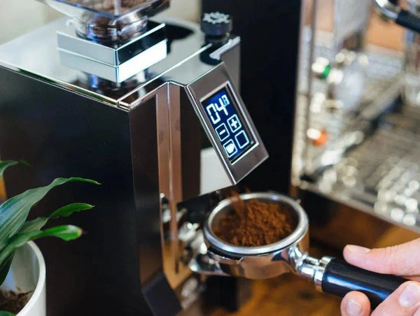 Elektryczny młynek do kawy - Barista i Espresso