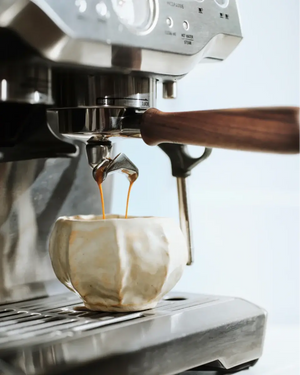 Portafilter do Sage Barista Serii (54 mm) - Barista i Espresso